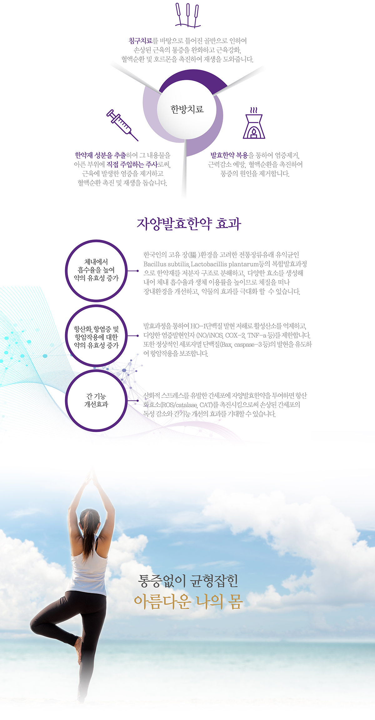 ������ �ѹ溴���� ��ݱ��� ġ�ᰡ ü�� ������ ��� ������ �ִ��� �����ϴ� �̹����Դϴ�.