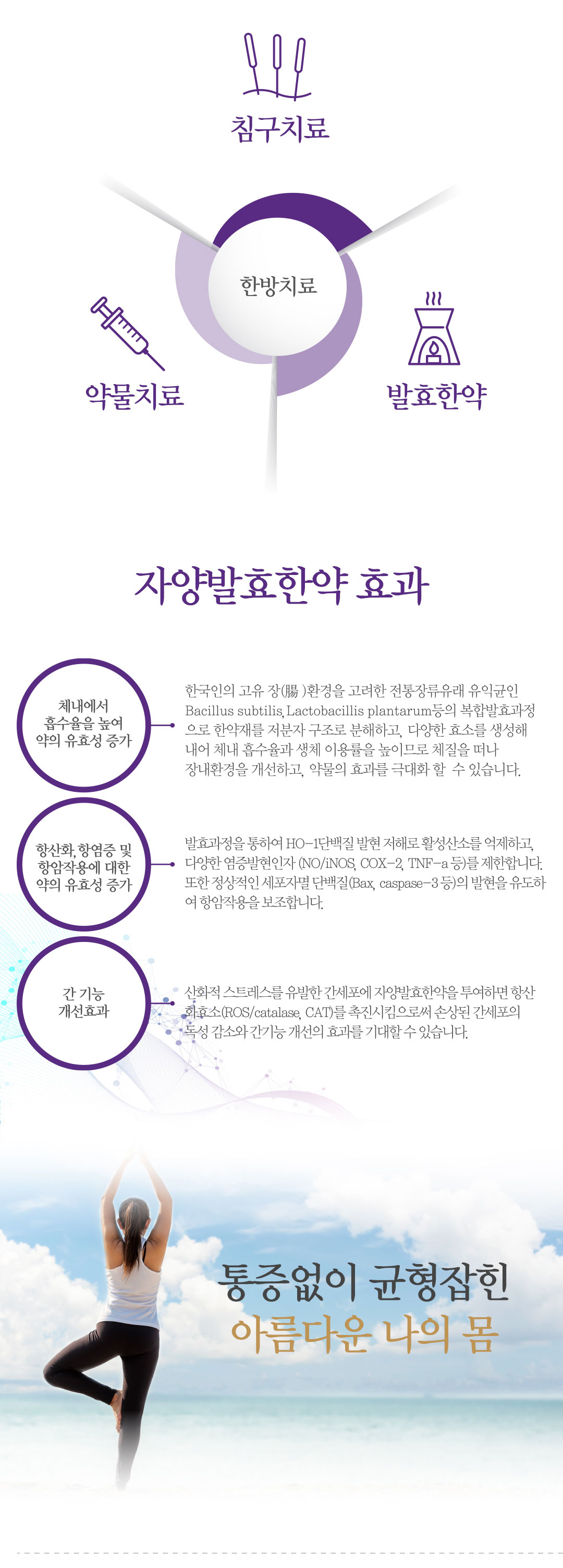 ������ �ѹ溴���� ��ݱ��� ġ�ᰡ ü�� ������ ��� ������ �ִ��� �����ϴ� �̹����Դϴ�.